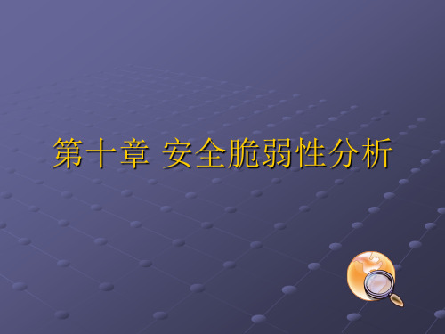 网络安全8安全脆弱性分析