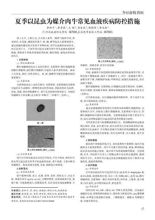 夏季以昆虫为媒介肉牛常见血液疾病防控措施