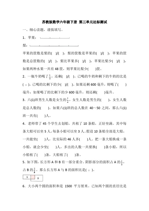 苏教版数学六年级下册 第三单元达标测试(含答案)