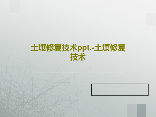 土壤修复技术ppt.-土壤修复技术共91页文档