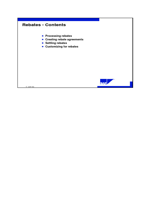 SAP-Rebate-回扣概述