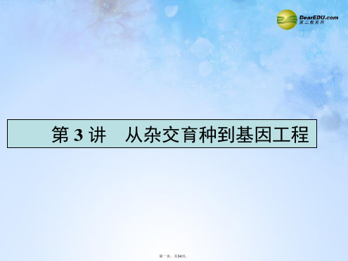 高考生物一轮复习 3.3 从杂交育种到基因工程课件 新人教版必修2