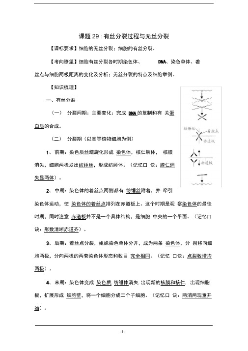 有丝分裂过程与无丝分裂