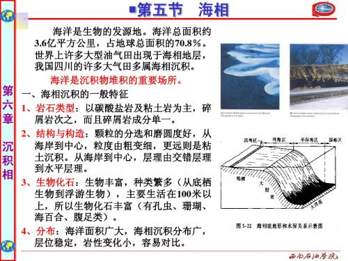 地质学基础(第六章沉积相1)