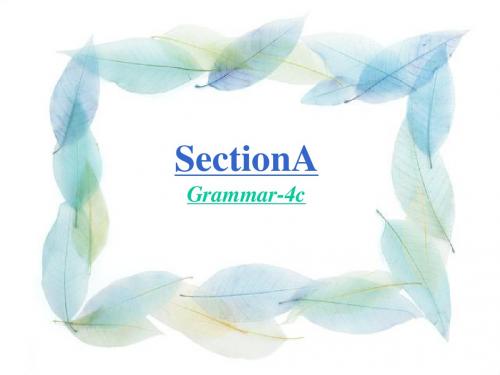 Unit5-What-are-the-shirts-made-of课件-SectionA-Grammar-4c