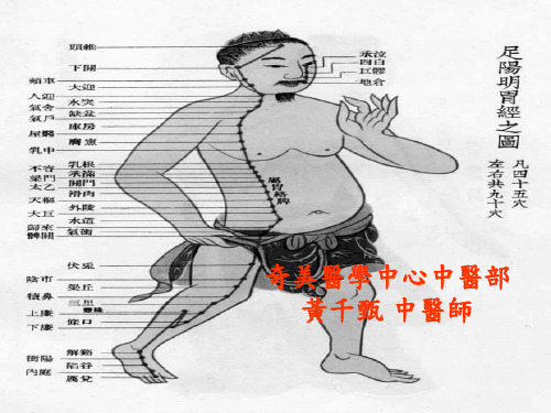 足阳明胃经