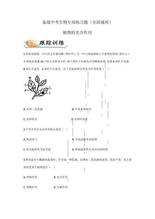 备战中考生物专项练习题——植物的光合作用(全国通用,含答案)