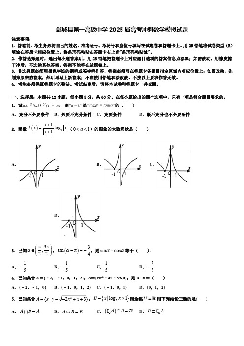 郸城县第一高级中学2025届高考冲刺数学模拟试题含解析