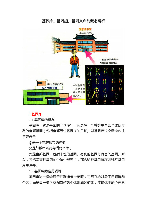 基因库、基因组、基因文库的概念辨析