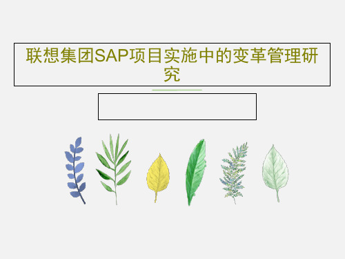 联想集团SAP项目实施中的变革管理研究共38页PPT