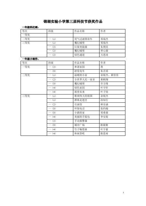 锦湖实验小学第三届科技节获奖作品