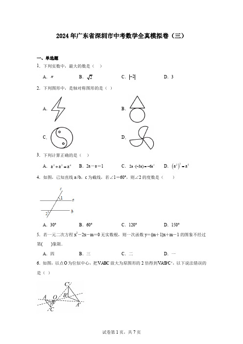 2024年广东省深圳市中考数学全真模拟卷(三)