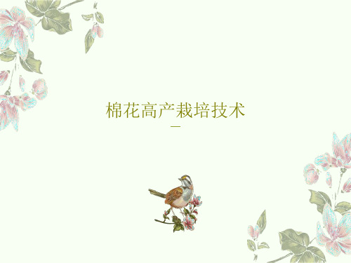 棉花高产栽培技术53页PPT