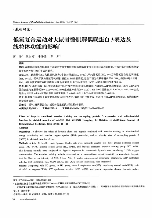 低氧复合运动对大鼠骨骼肌解偶联蛋白3表达及线粒体功能的影响