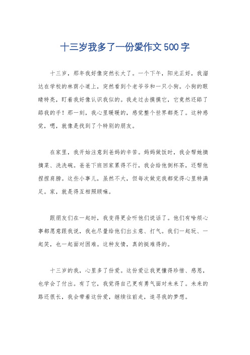 十三岁我多了一份爱作文500字