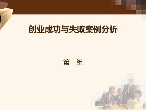 创业案例解析成功与失败案例分析-精品PPT课件