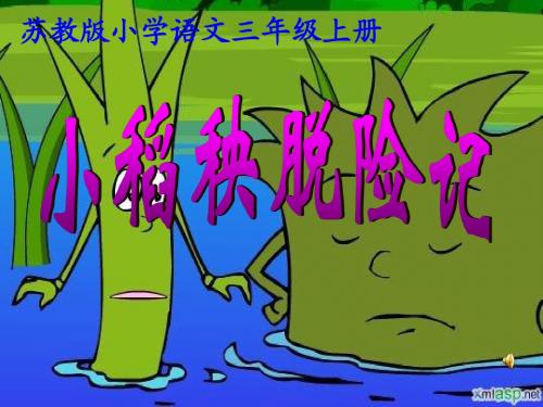 18小稻秧脱险记ppt