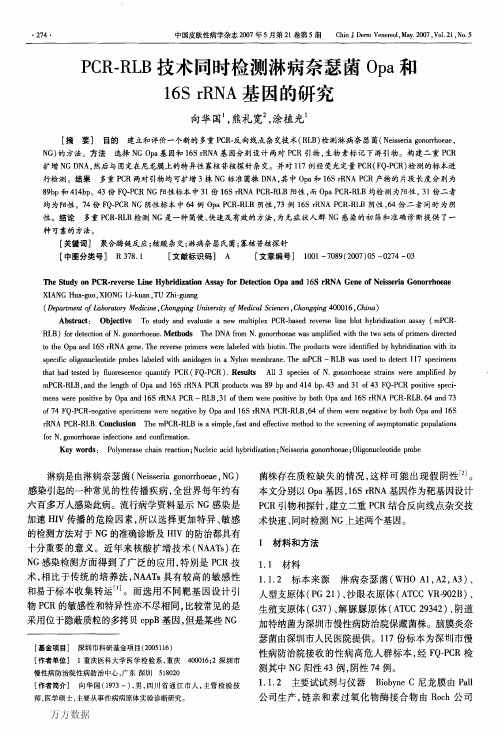 PCR-RLB技术同时检测淋病奈瑟菌 Opa和16S rRNA基因的研究