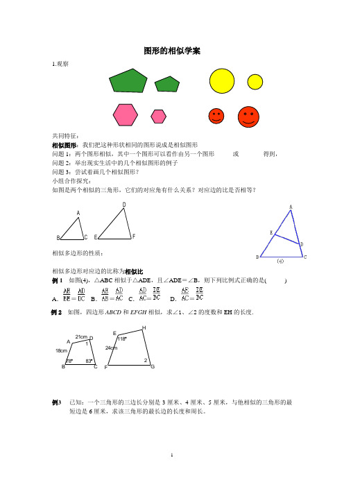 相似的学案全部