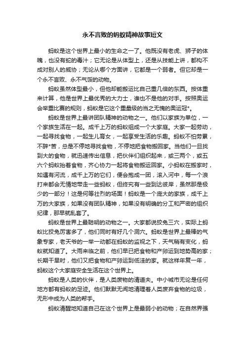 永不言败的蚂蚁精神故事短文