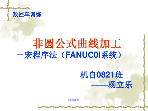 FANUC0i系统_宏程序例