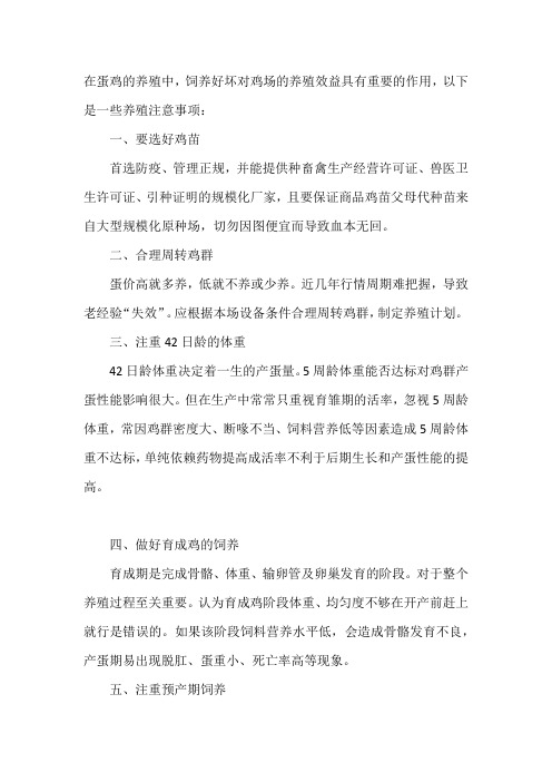 蛋鸡养殖中的十项注意事项