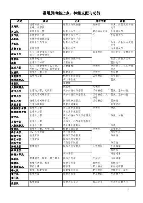 最全肌肉起止点神经支配及功能