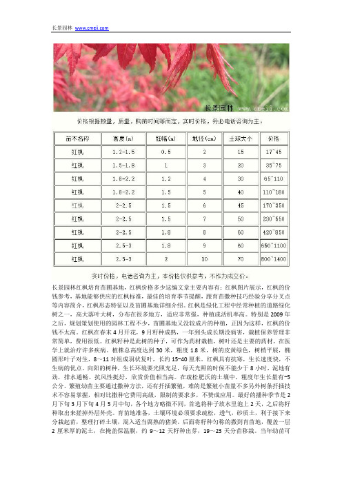 红枫价格多少