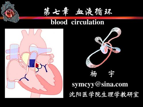 第2节心脏的泵血功能