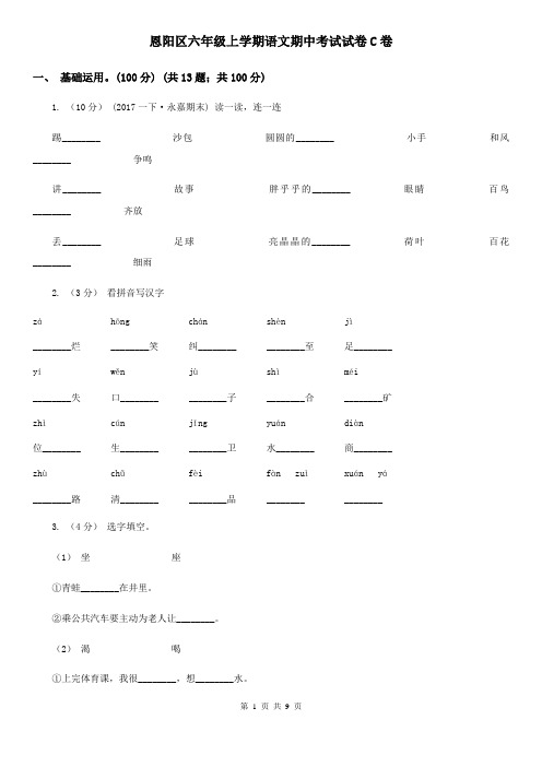 恩阳区六年级上学期语文期中考试试卷C卷