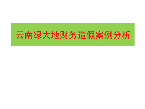 财务造假案例分析(PPT47页).pptx