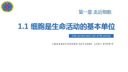 大石桥高中1.1细胞是生命活动的基本单位-人教版(2019)必修1