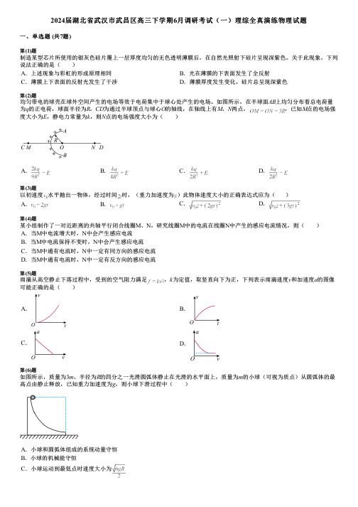 2024届湖北省武汉市武昌区高三下学期6月调研考试(一)理综全真演练物理试题