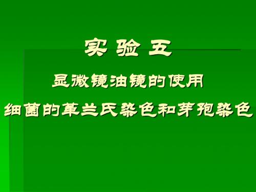 实验五显微镜油镜的使用细菌的革兰氏染色及芽孢染色张理珉ppt课件-文档资料