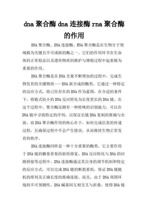 dna聚合酶dna连接酶rna聚合酶的作用