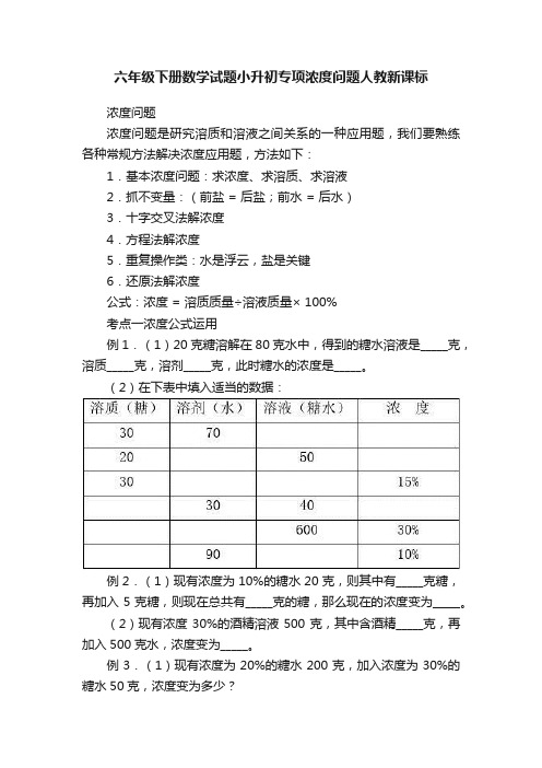 六年级下册数学试题小升初专项浓度问题人教新课标