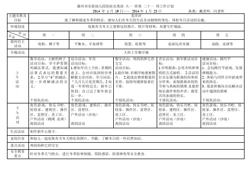 大班一第二十一周周计划