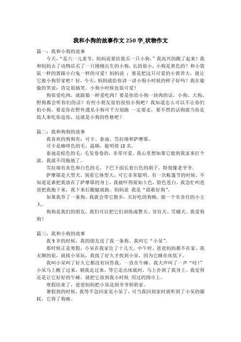 我和小狗的故事作文250字_状物作文