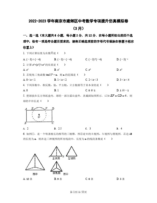 2022——2023学年南京市建邺区中考数学专项提升仿真模拟卷(3月4月)含答案