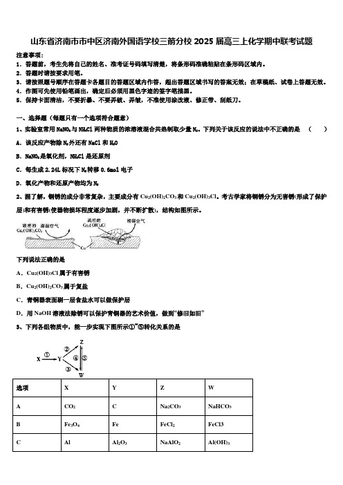 山东省济南市市中区济南外国语学校三箭分校2025届高三上化学期中联考试题含解析