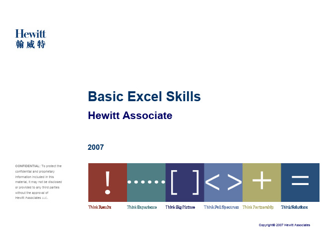 Basic Excel Skills 2007