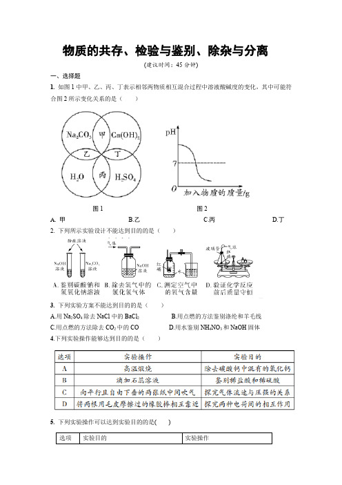 人教版九年级化学《物质的共存、检验与鉴别、除杂与分离》测试题(含答案)