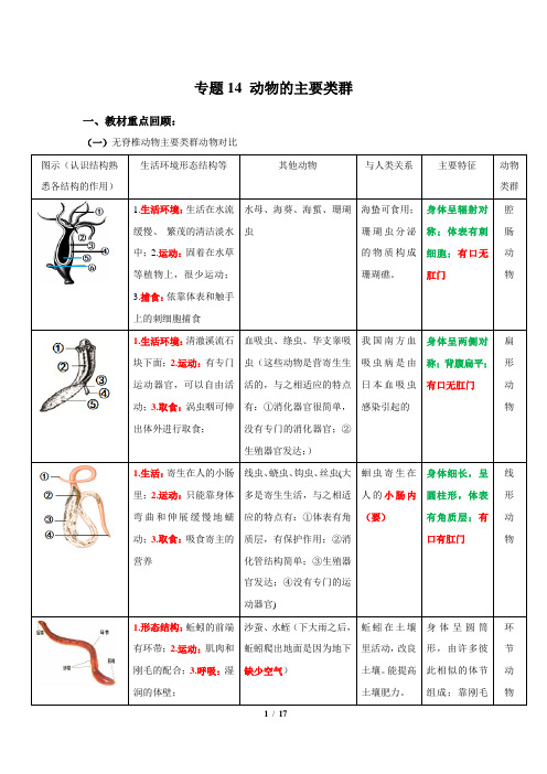 专题14 动物的主要类群-2020年中考生物必考必练精品(解析版)