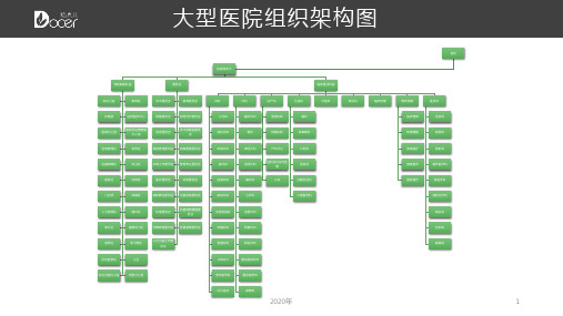 大型医院组织架构图(完美版)