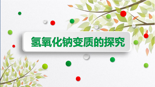 氢氧化钠变质的探究 初中九年级下册化学教学课件PPT课件 人教版