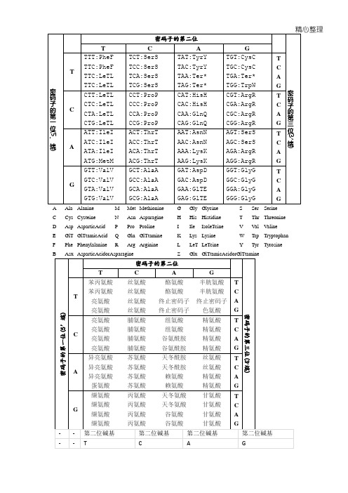 密码子表格模板