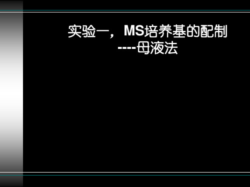 MS培养基的配制-母液法