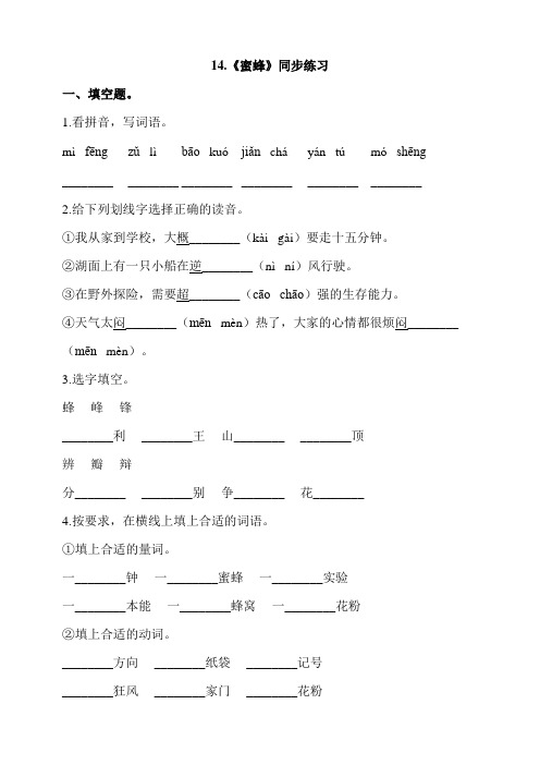 部编版小学语文三年级下册14《蜜蜂》同步练习 (含答案)