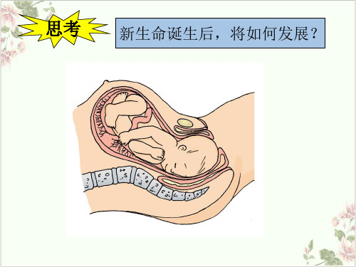 走向成熟ppt优质课件浙教版