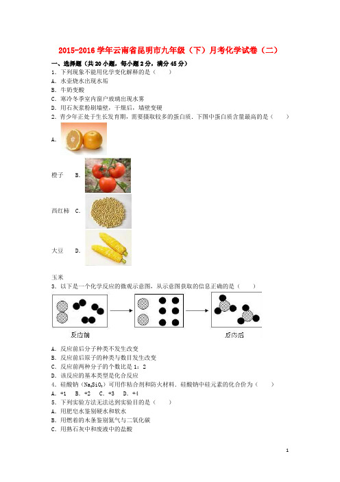 云南省昆明市九年级化学下学期月考试卷(二)(含解析) 新人教版